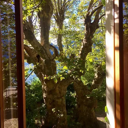 Tatil Evi I Due Platani *